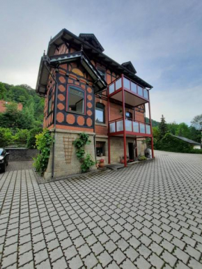 Ferienwohnung Villa Frosch